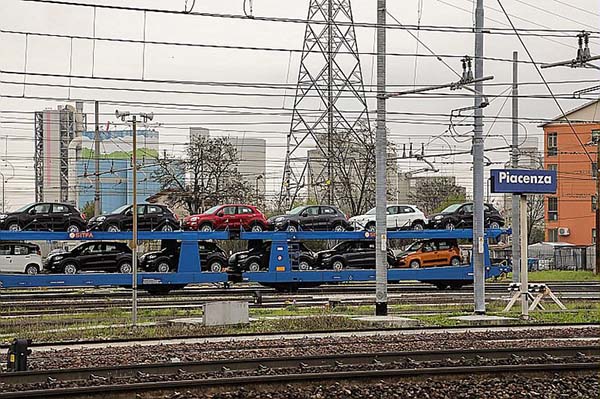 Export piacentino 24