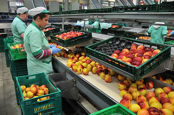 Prezzi al consumo Piacenza