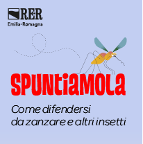 RER spuntiamola26 205x208