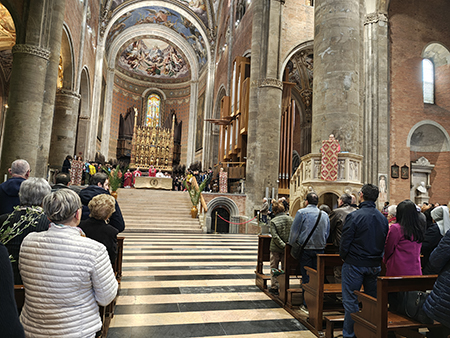 domenicadellepalmein cattedrale