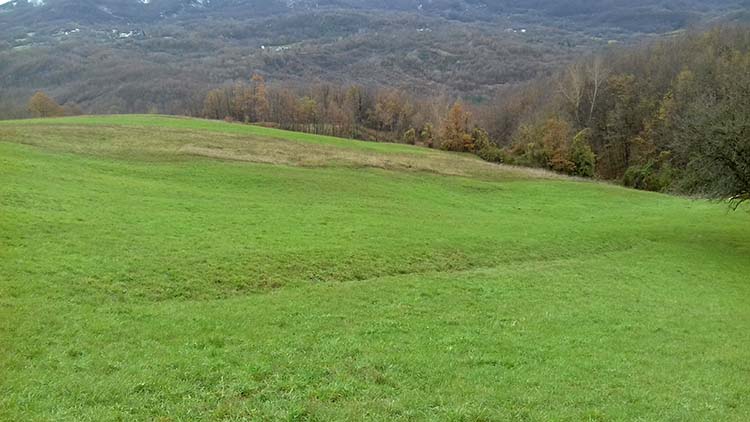 Centopecorse Farini