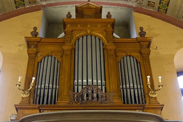 organobedonia