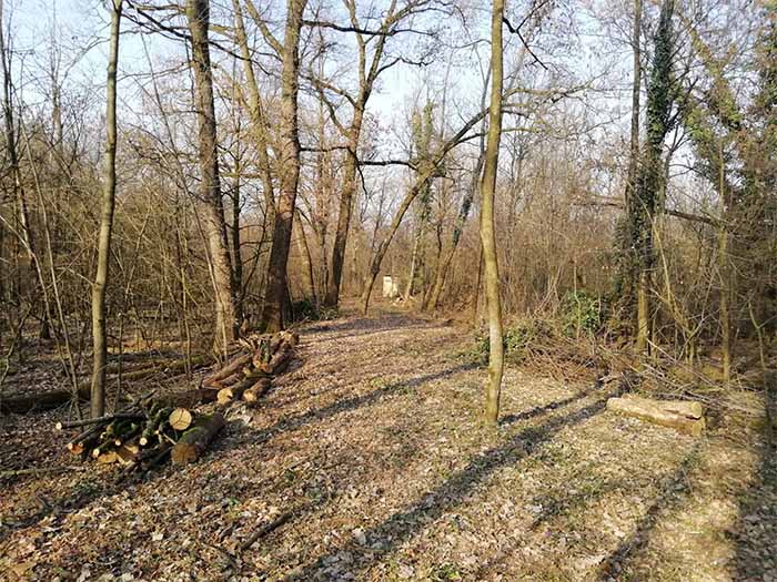 podenzano inaugurazione banca piacenza