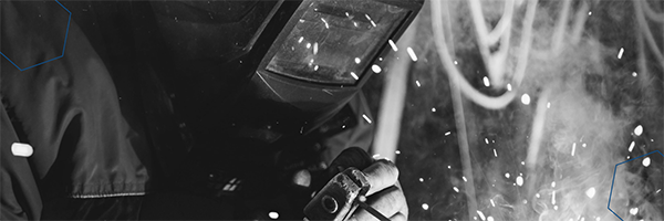 Numero imprese piacentine chiusura 2024