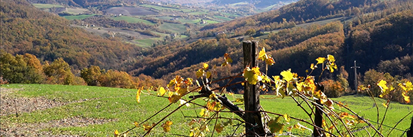 Piu sostegni agli agricoltori di montagna