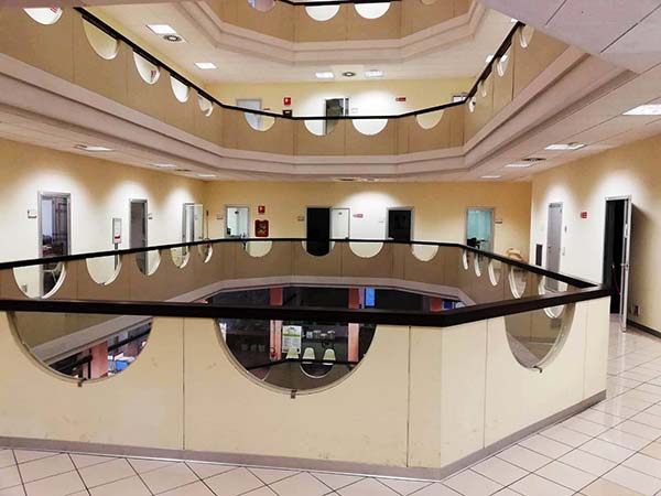 Supporto Camera di Commercio