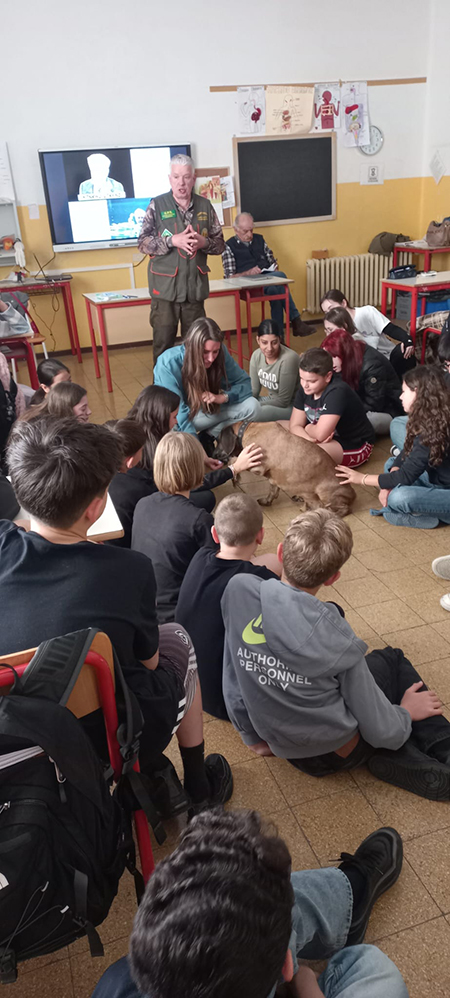 Cane in classe Gragnano